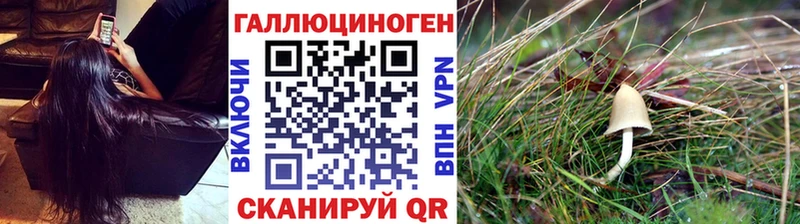 Псилоцибиновые грибы Magic Shrooms  Братск 